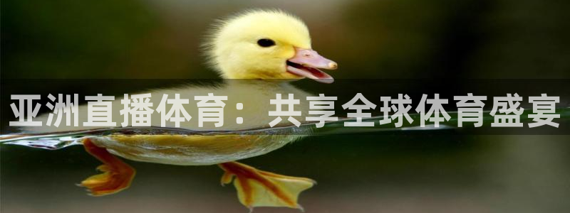 亚洲直播体育：共享全球体育盛宴