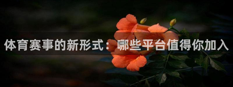 体育赛事的新形式：哪些平台值得你加入