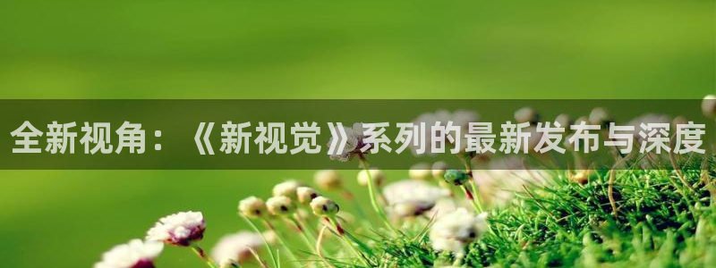 全新视角：《新视觉》系列的最新发布与深度
