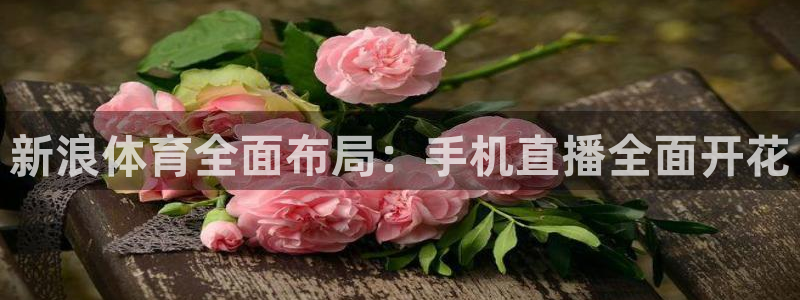 新浪体育全面布局：手机直播全面开花