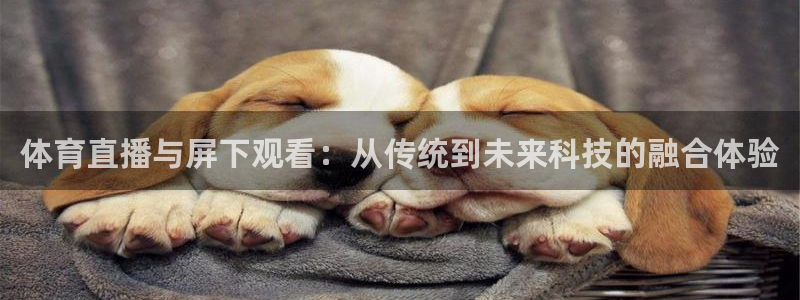 体育直播与屏下观看：从传统到未来科技的融合体验