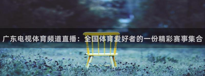 广东电视体育频道直播：全国体育爱好者的一份精彩赛事集合